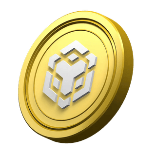 BNB-munt ter decoratie in de informatiesectie van het platform